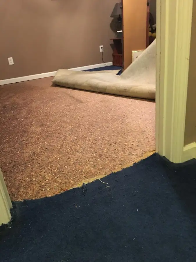 Carpet pad removal revealing water damage during Drying & Dehumidification in Orchard Park
