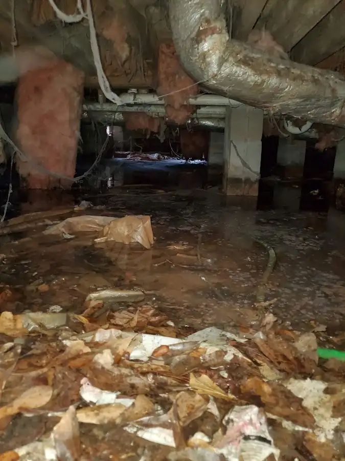 Crawl space flood assessment for Leak Detection & Repair in Orchard Park